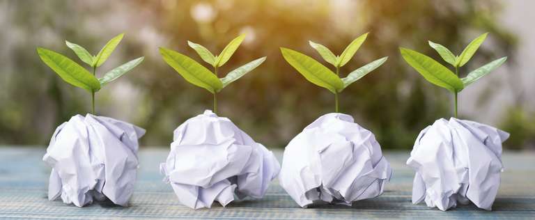 Geknülltes Papier mit grünen jungen Pflanzen im Papier auf festem Untergrund in sonniger Atmosphäre – nachhaltige Druckerei Hamburg