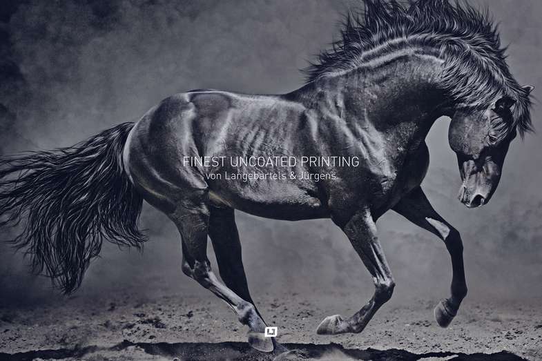 Schwarzes Pferd mit grauem Hintergrund - zeigt die Qualität der ungestrichenen Papiere