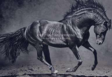 Schwarzes Pferd mit grauem Hintergrund - zeigt die Qualität der ungestrichenen Papiere