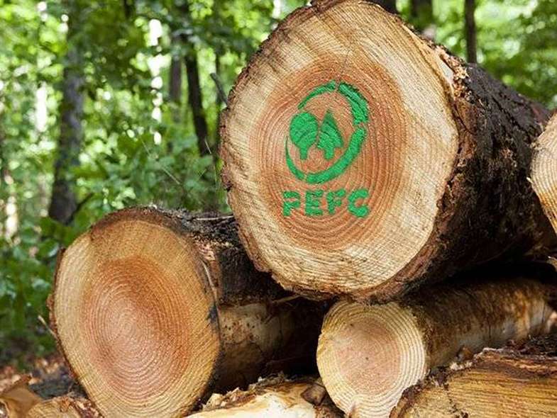 PEFC Baum Logo
