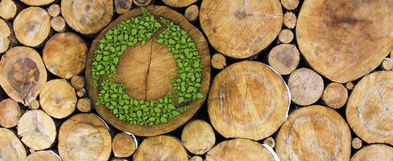 Baumstämme mit begrüntem Recycling-Zeichen - Nachhaltig Drucken