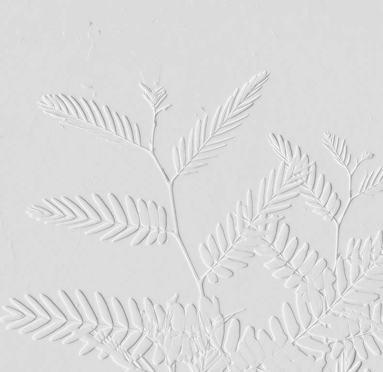 Zweige Blindprägung auf Naturpapier