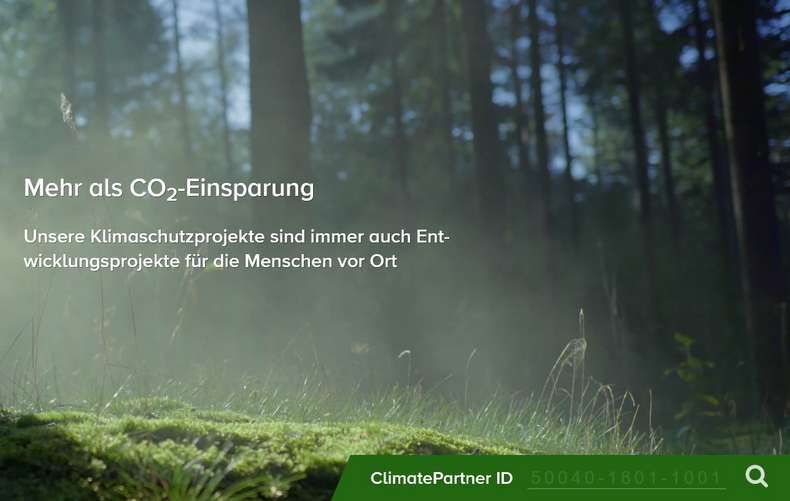 Nahaufnahme Mooslichtung vor Waldstück - Klimaneutraler Druck