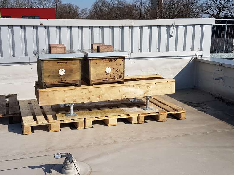 Goldfriede Bienenstock bei Langebartes + Jürgens Hamburg GmbH