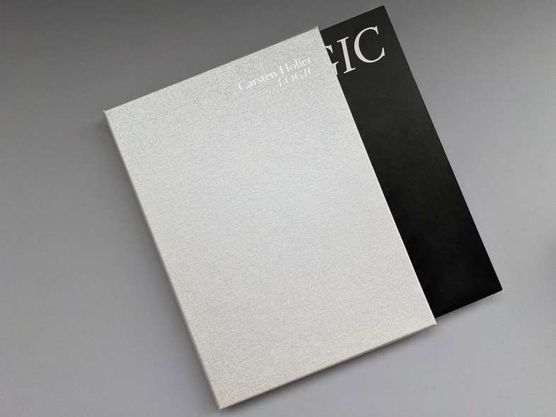 Buchschuber eine schützende Hülle Buchschuber, Silber auf grauem Hintergrund - Stehsammler Schuber