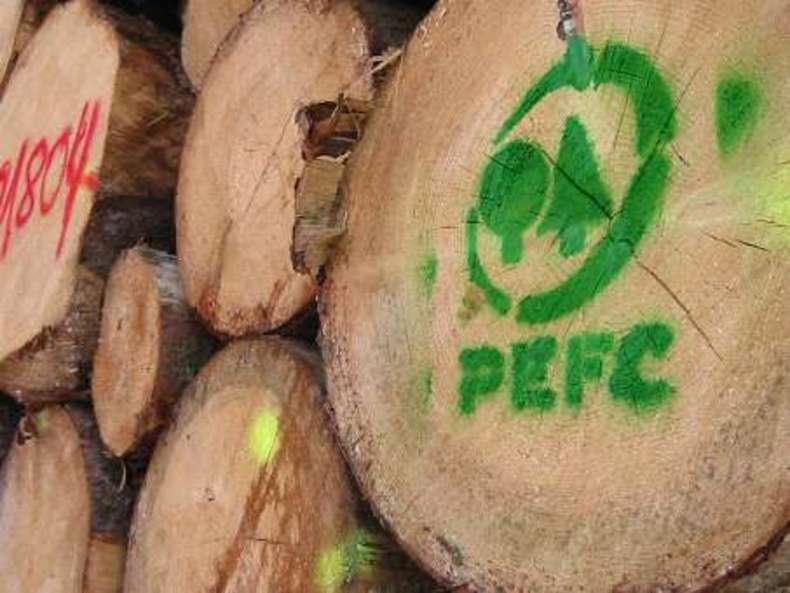 Holzstämme Nahaufnahme mit grünem gesprühtem PEFC-Logo - PEFC-Papier